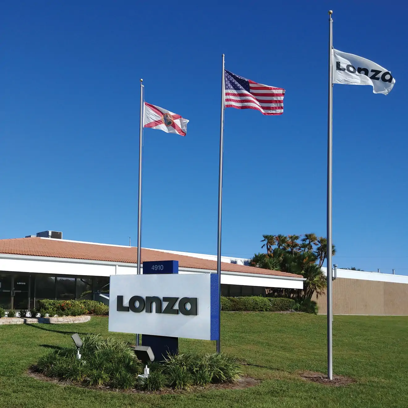 front of Tampa building with flags