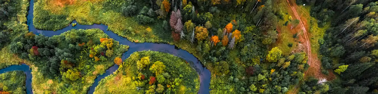 Aerial view of the small river with bridge and colorful autumn forest, Russia.